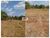 Fazenda-Sítio-Chácara, 3700 m² - Foto 1