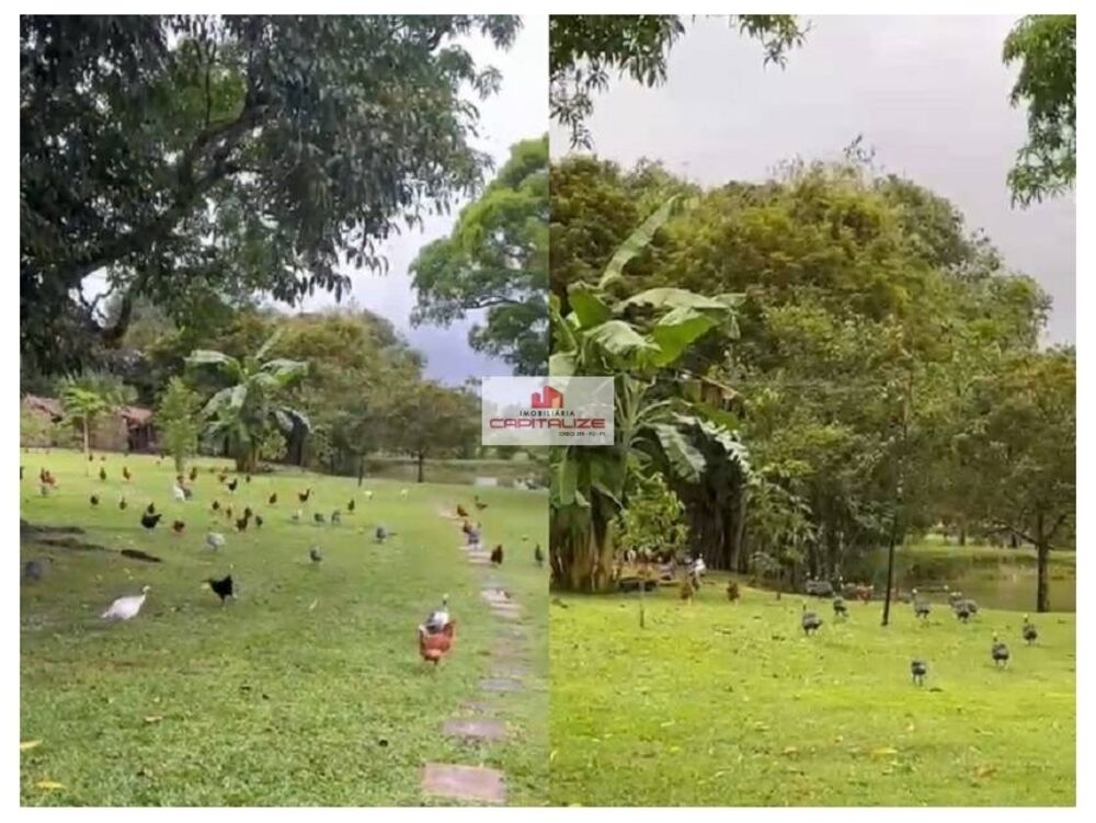 Fazenda à venda, 1600m² - Foto 3