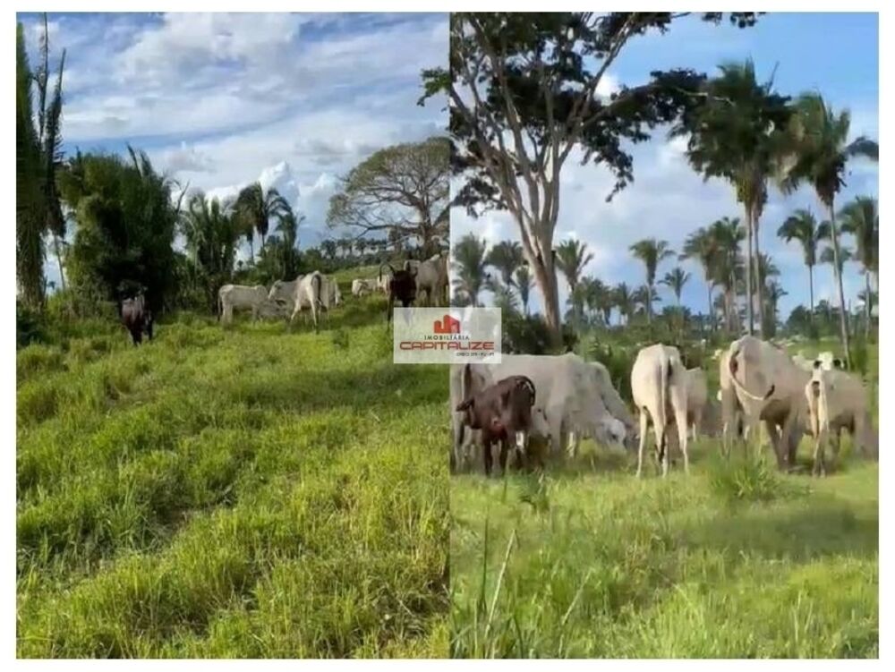Fazenda à venda, 1600m² - Foto 1