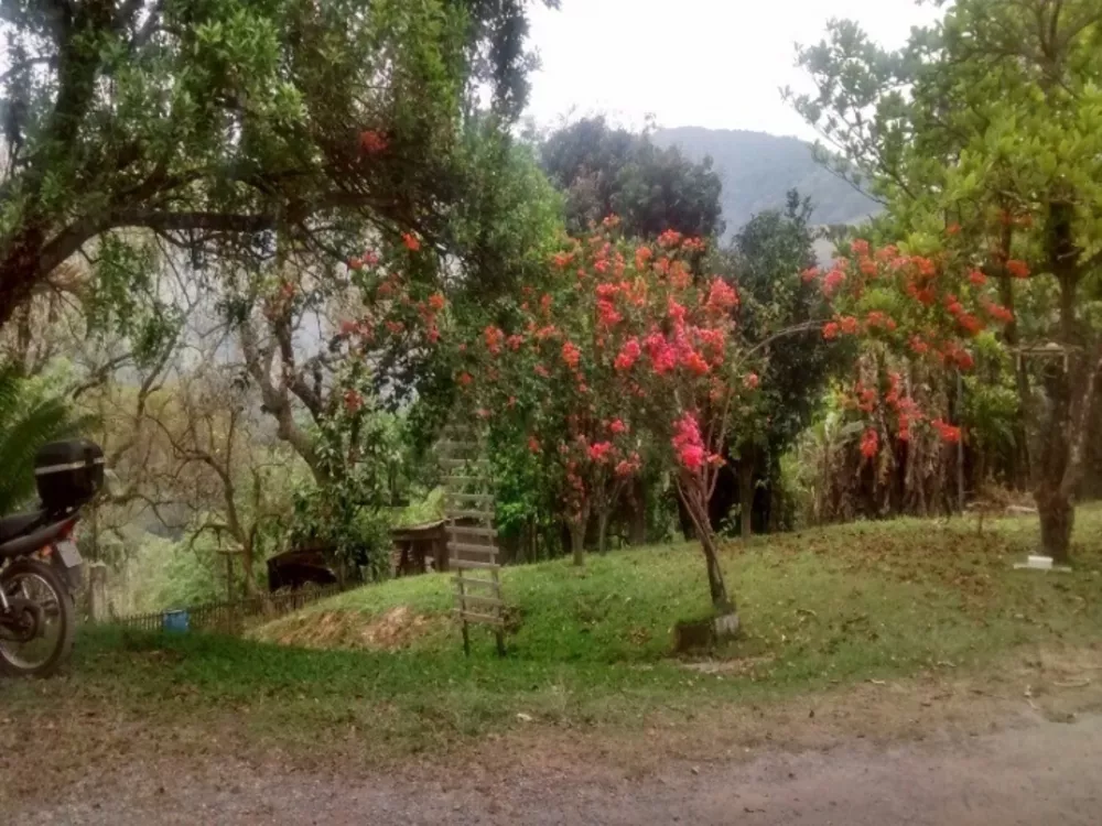 Fazenda à venda com 3 quartos, 4700m² - Foto 1