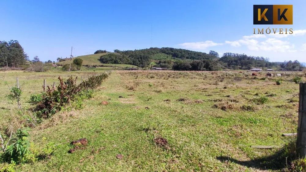 Sítio, 3 hectares - Foto 2