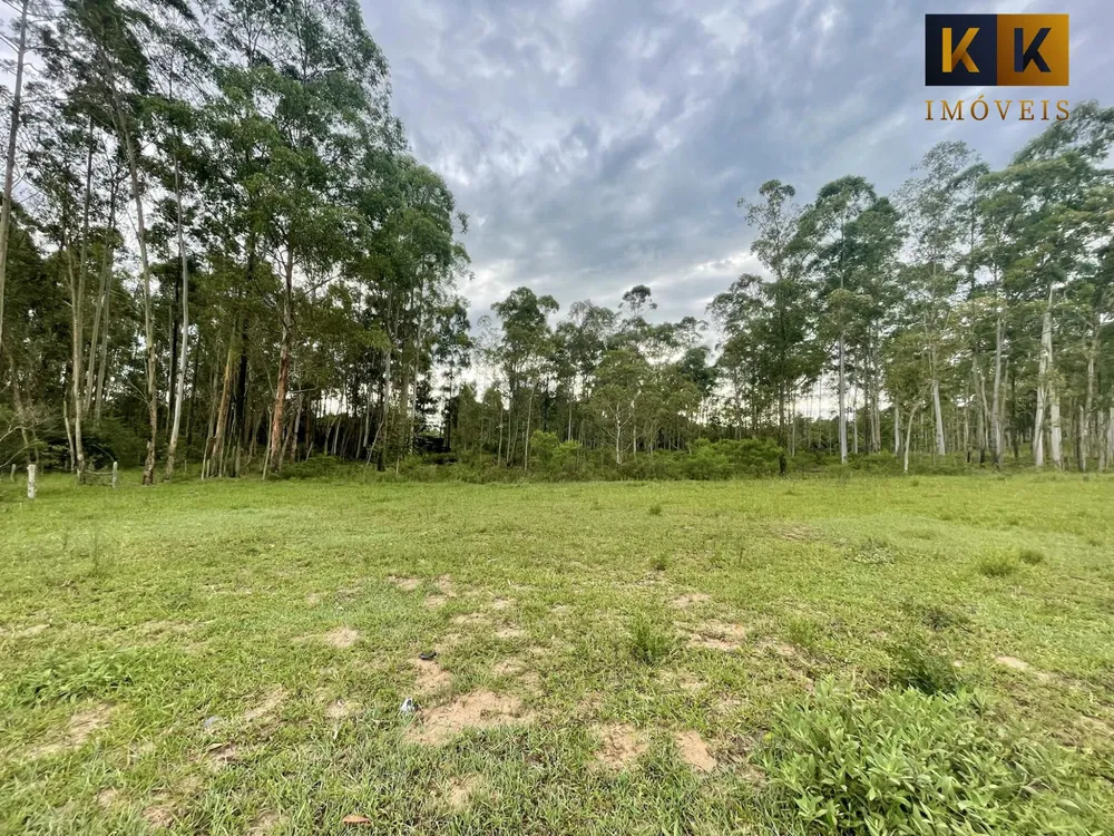Sítio, 3 quartos, 67000 hectares - Foto 3