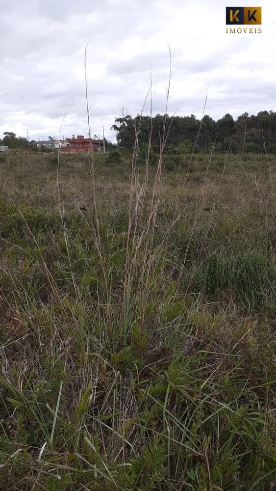 Terreno, 360 m² - Foto 1