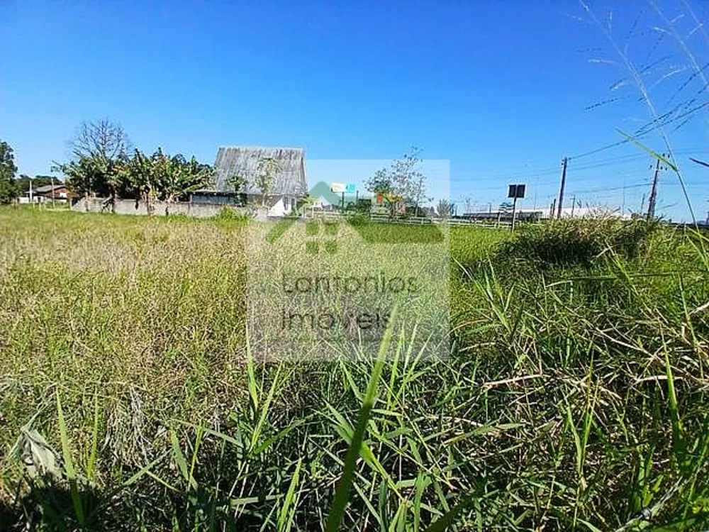 Terreno, 2092 m² - Foto 2