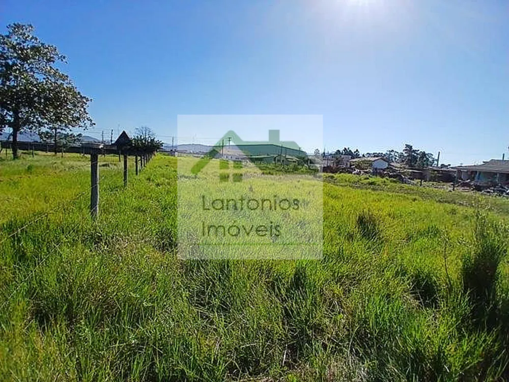 Terreno, 2092 m² - Foto 3