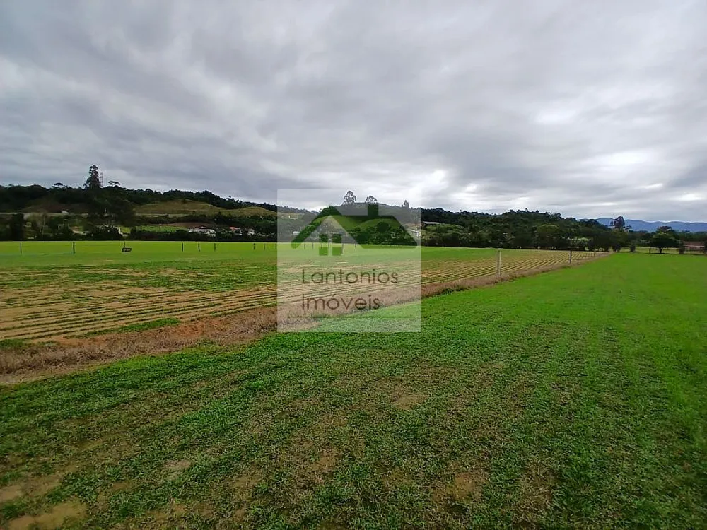 Terreno, 5000 m² - Foto 3