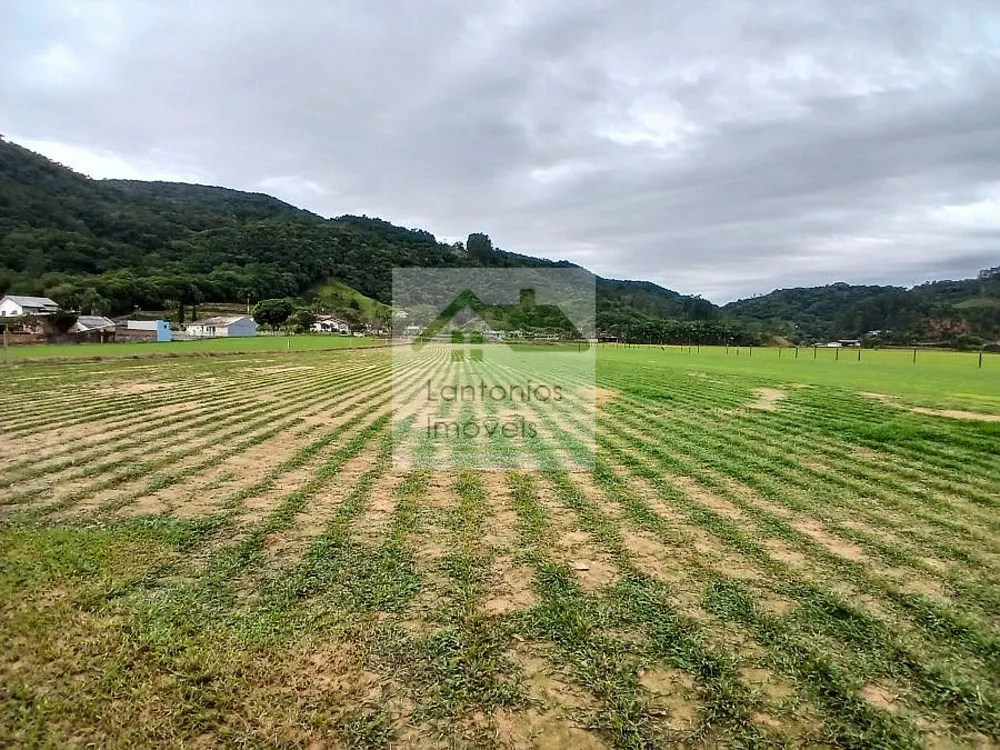 Terreno, 5000 m² - Foto 4