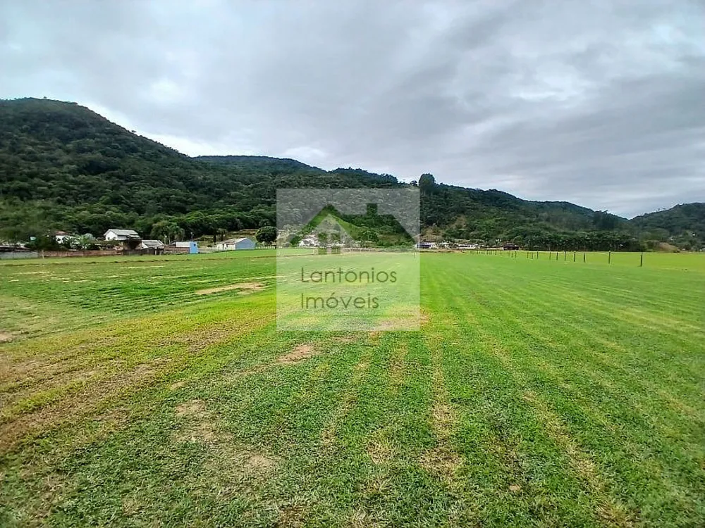 Terreno, 5000 m² - Foto 2
