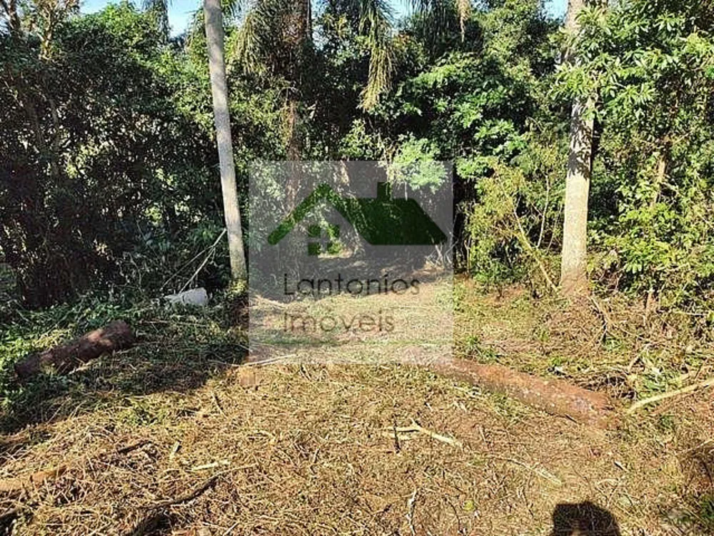 Terreno, 5300 m² - Foto 4