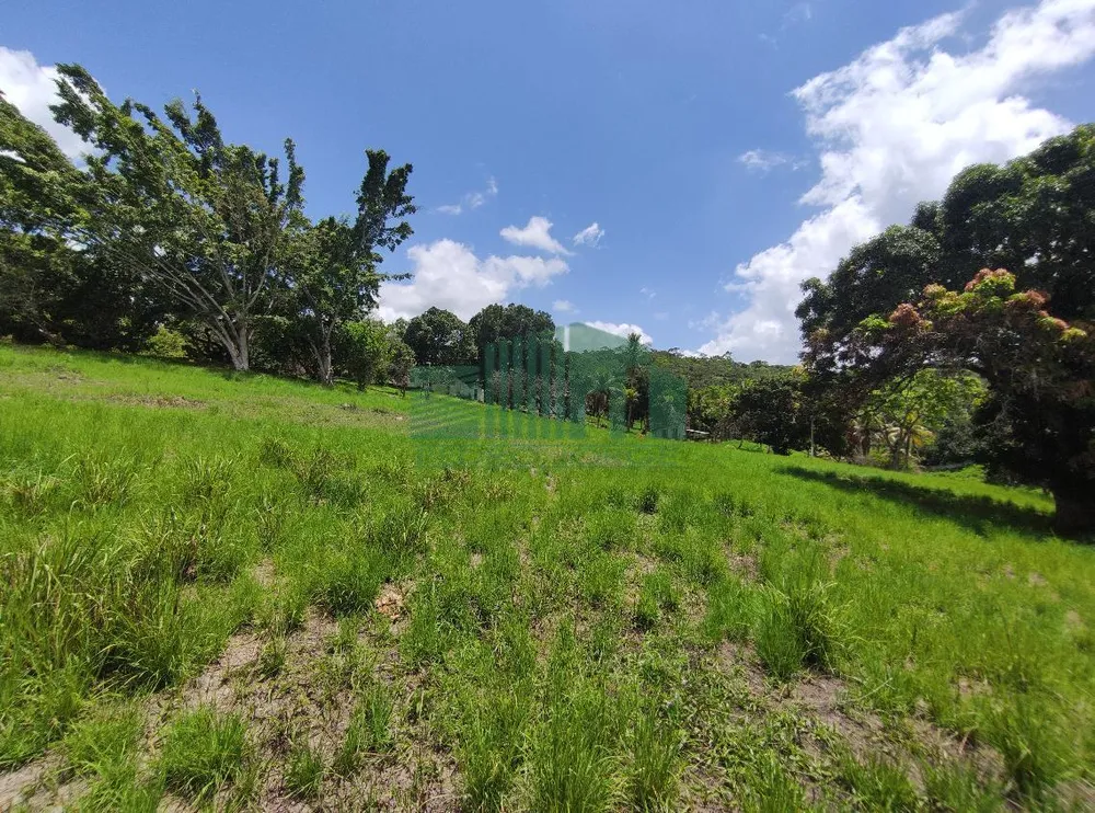 Loteamento e Condomínio, 4 hectares - Foto 6
