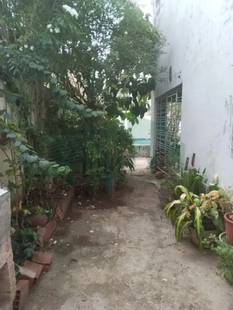 Casa, 5 quartos, 110 m² - Foto 5