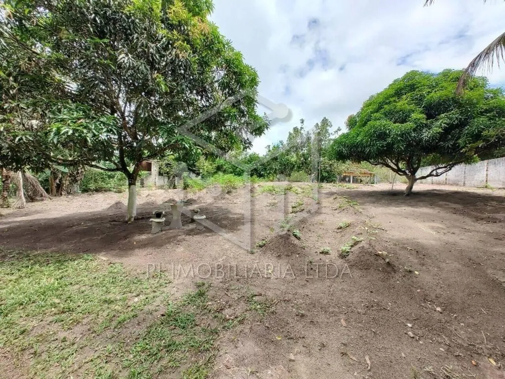 Chácara, 1 quarto, 3800 m² - Foto 6