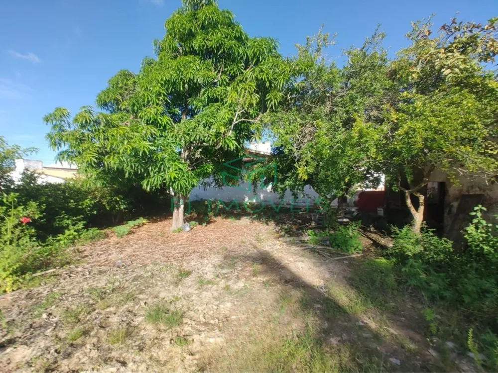 Casa, 4 quartos, 200 m² - Foto 10