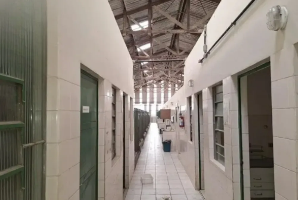 Depósito-Galpão - Foto 9