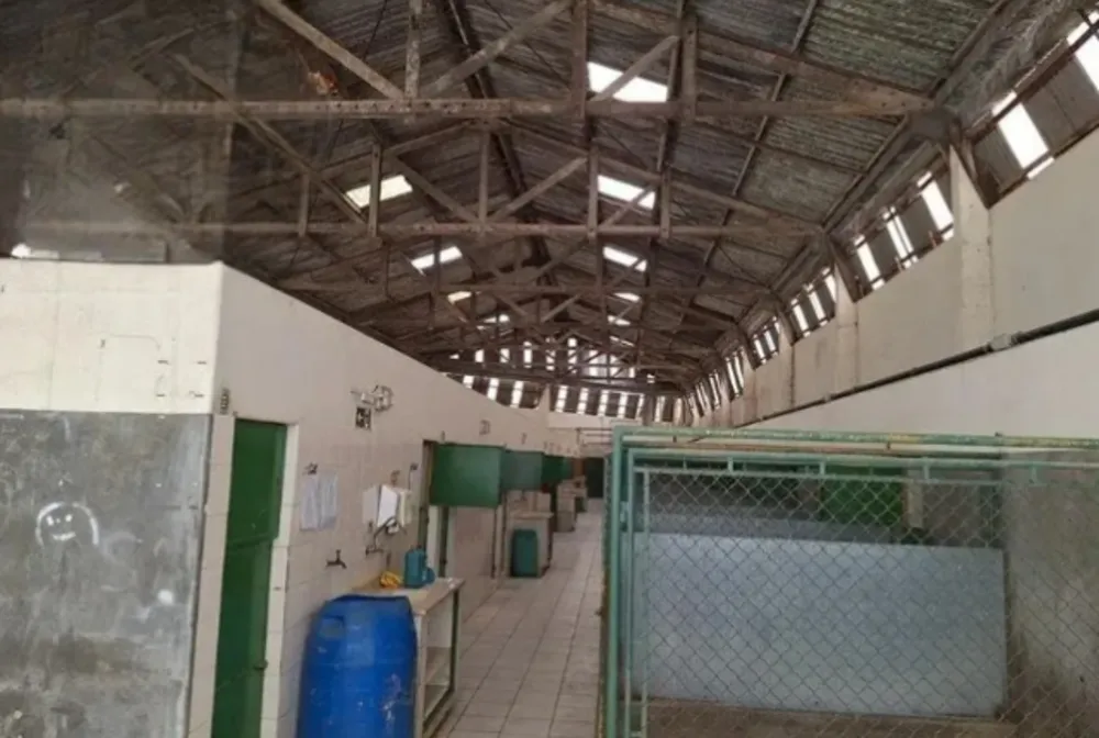 Depósito-Galpão - Foto 2