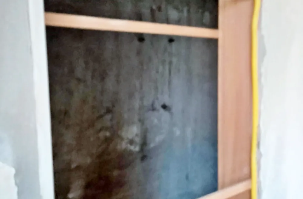 Casa, 5 quartos, 185 m² - Foto 8
