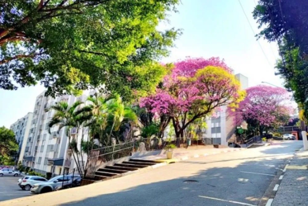 Apartamento, 2 quartos, 57 m² - Foto 4