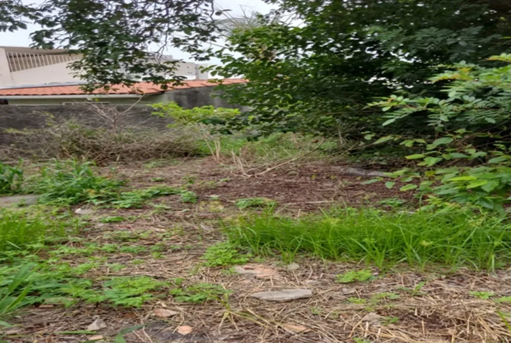 Terreno, 105 m² - Foto 6