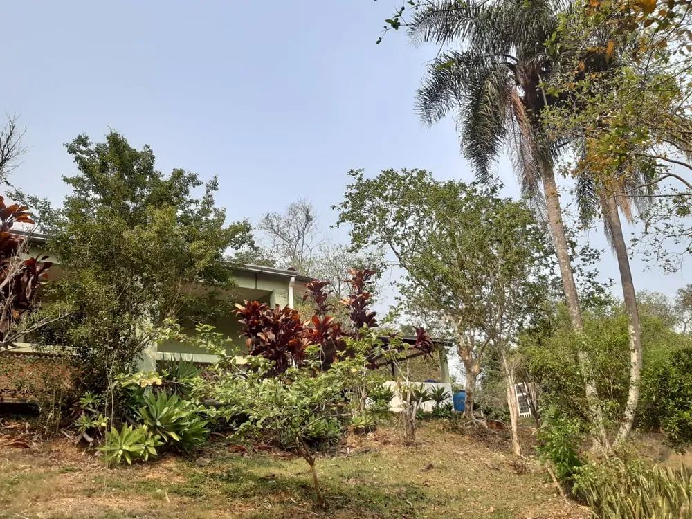Chácara, 3 quartos, 3 hectares - Foto 11