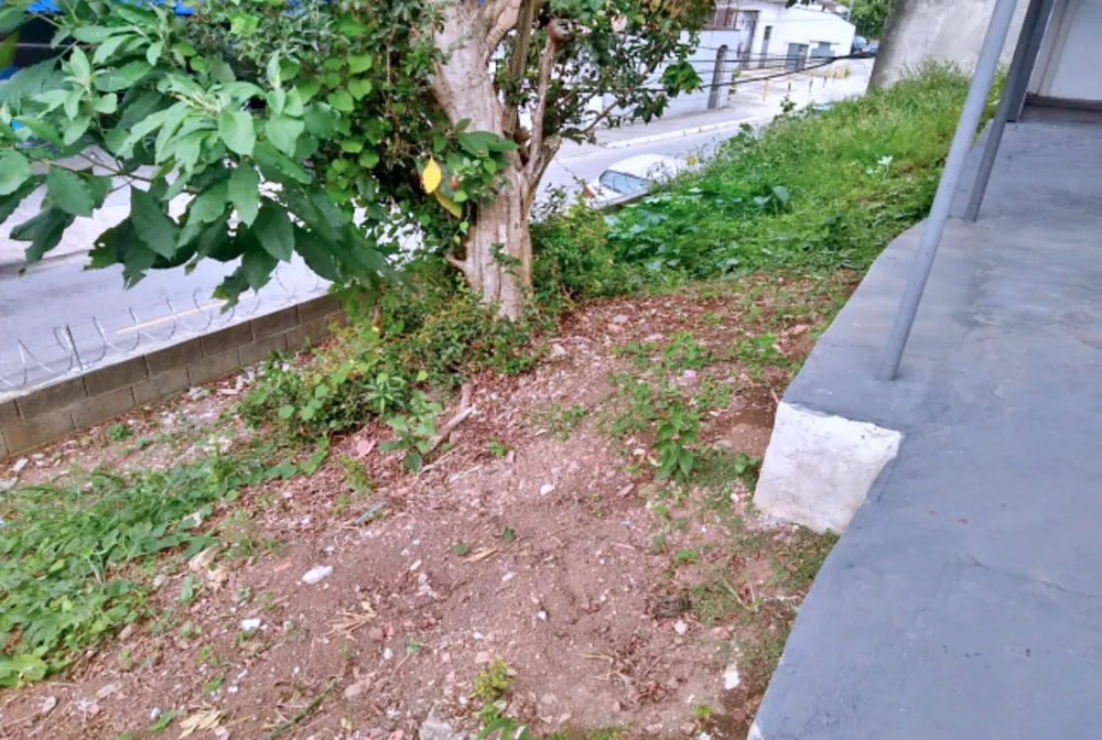 Terreno, 281 m² - Foto 3
