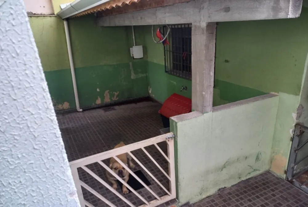 Sobrado, 4 quartos, 310 m² - Foto 11