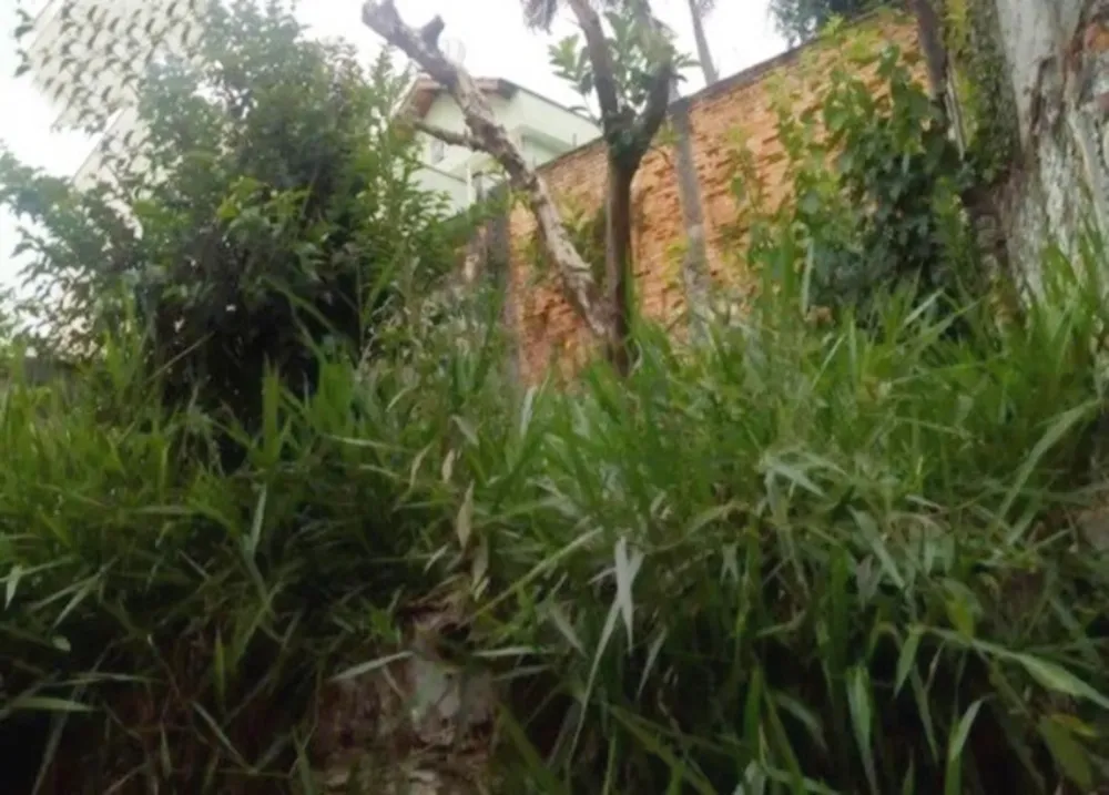 Casa, 2 quartos, 258 m² - Foto 8