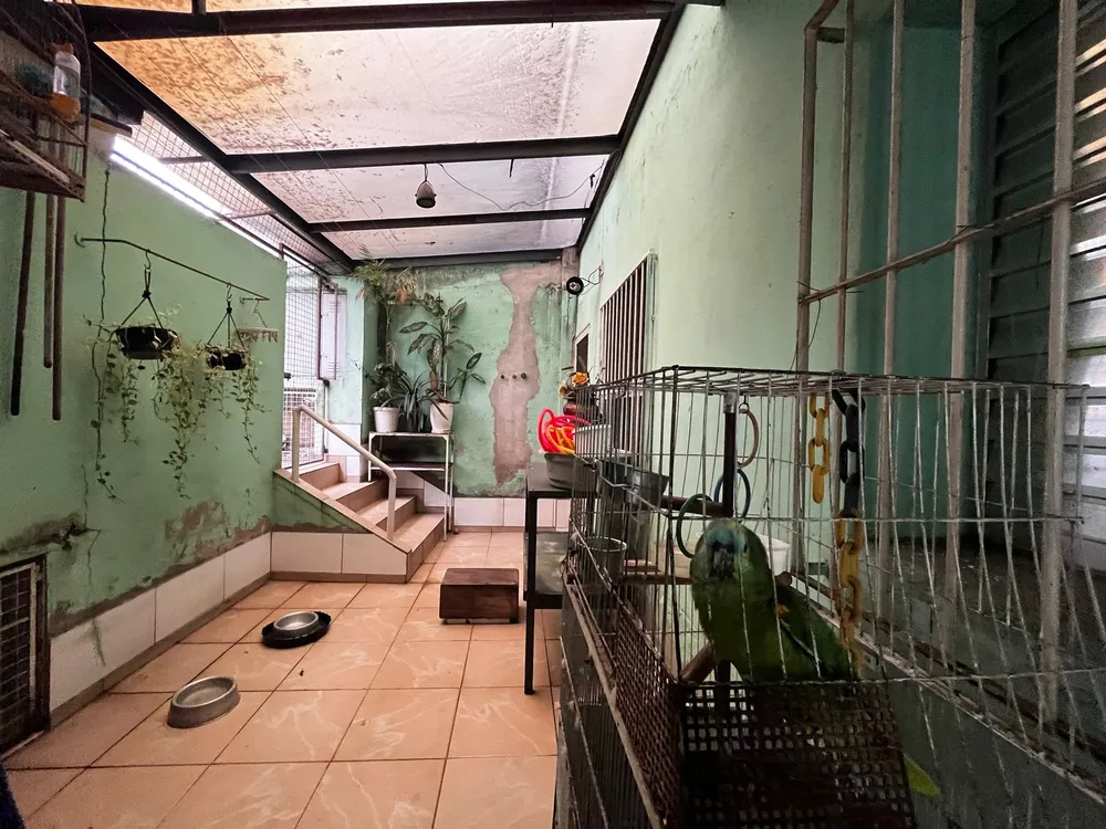 Casa, 5 quartos, 250 m² - Foto 5