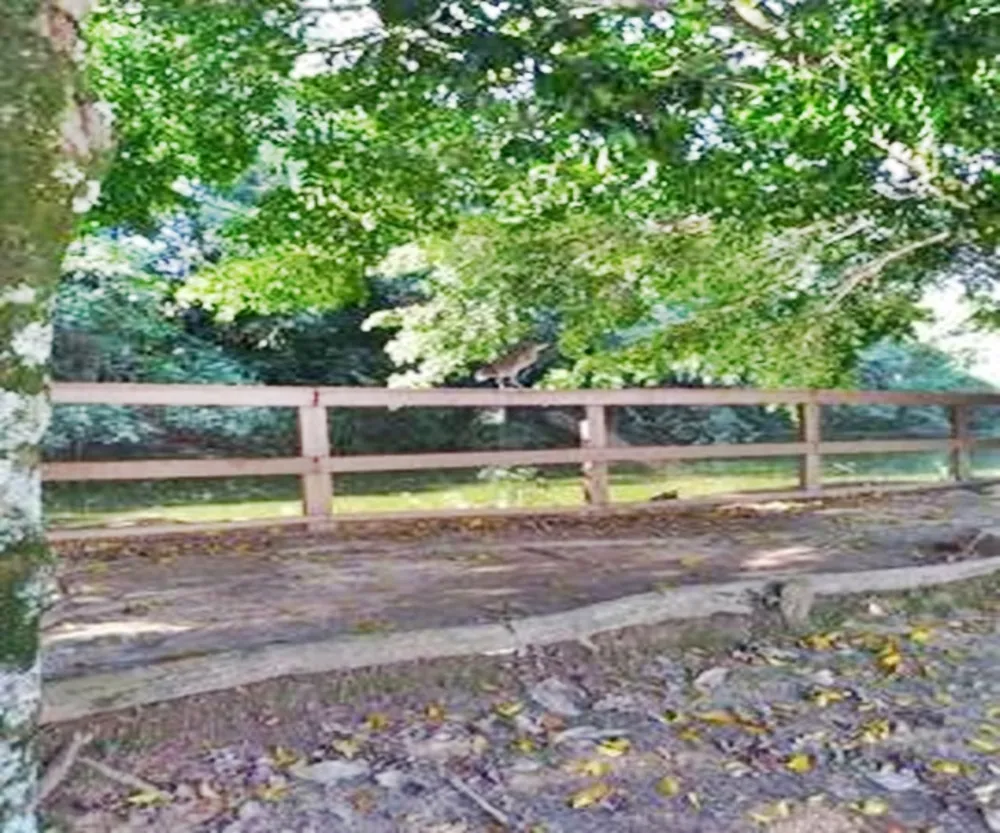 Terreno, 671 m² - Foto 2