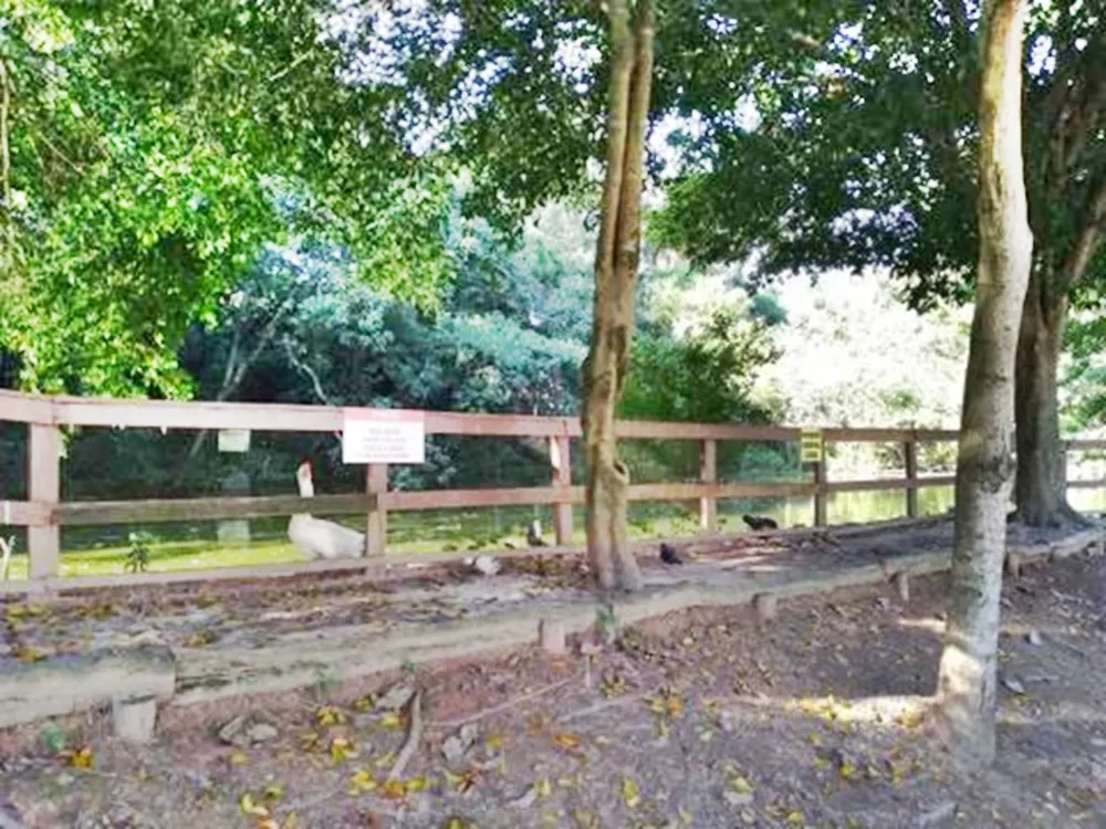 Terreno, 671 m² - Foto 5