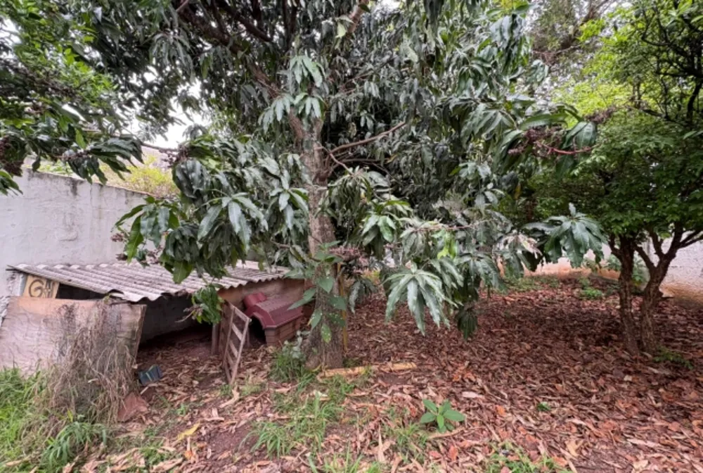 Terreno, 500 m² - Foto 6