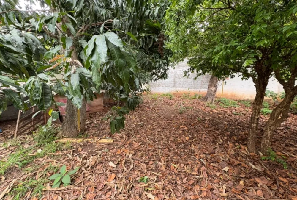 Terreno, 500 m² - Foto 4