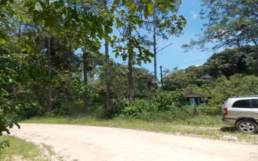 Sítio, 2 quartos, 17 hectares - Foto 1