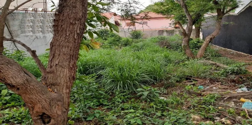 Terreno, 450 m² - Foto 2