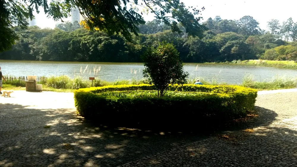 Terreno, 450 m² - Foto 3