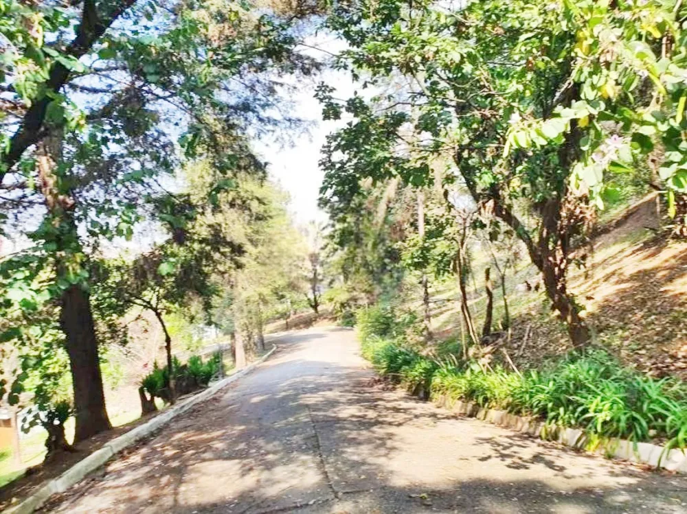 Terreno, 3 hectares - Foto 6