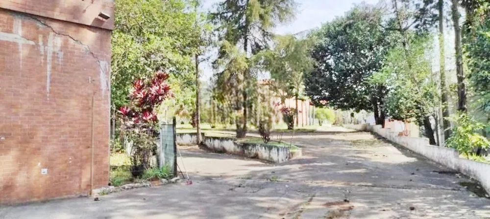 Terreno, 3 hectares - Foto 4