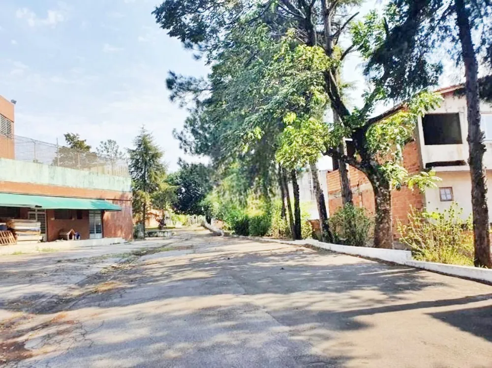 Terreno, 3 hectares - Foto 2