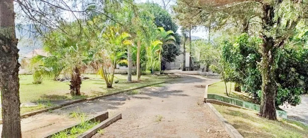 Terreno, 3 hectares - Foto 1