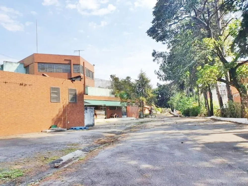 Terreno, 3 hectares - Foto 1