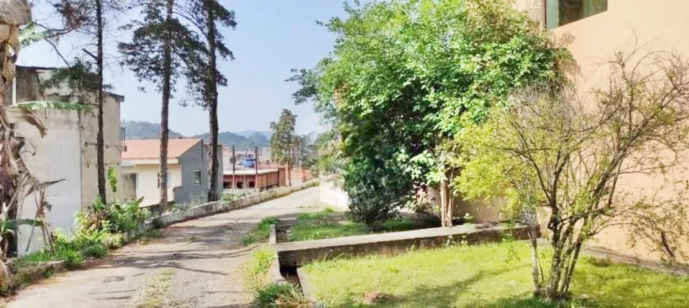 Terreno, 3 hectares - Foto 7