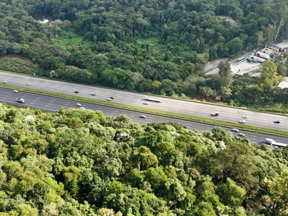 Terreno, 1000 m² - Foto 4