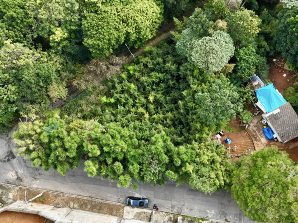 Terreno, 1000 m² - Foto 3