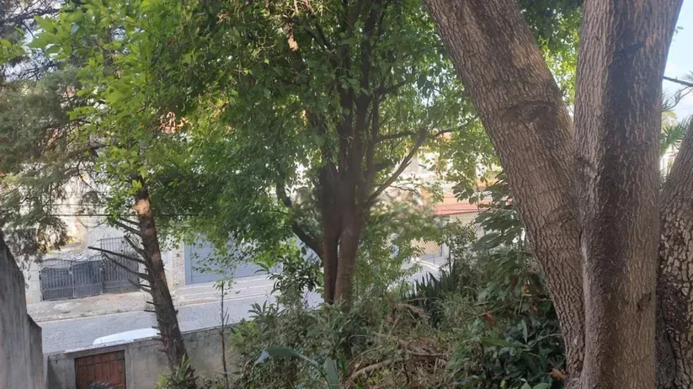 Terreno, 290 m² - Foto 6