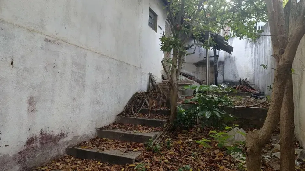 Terreno, 290 m² - Foto 5