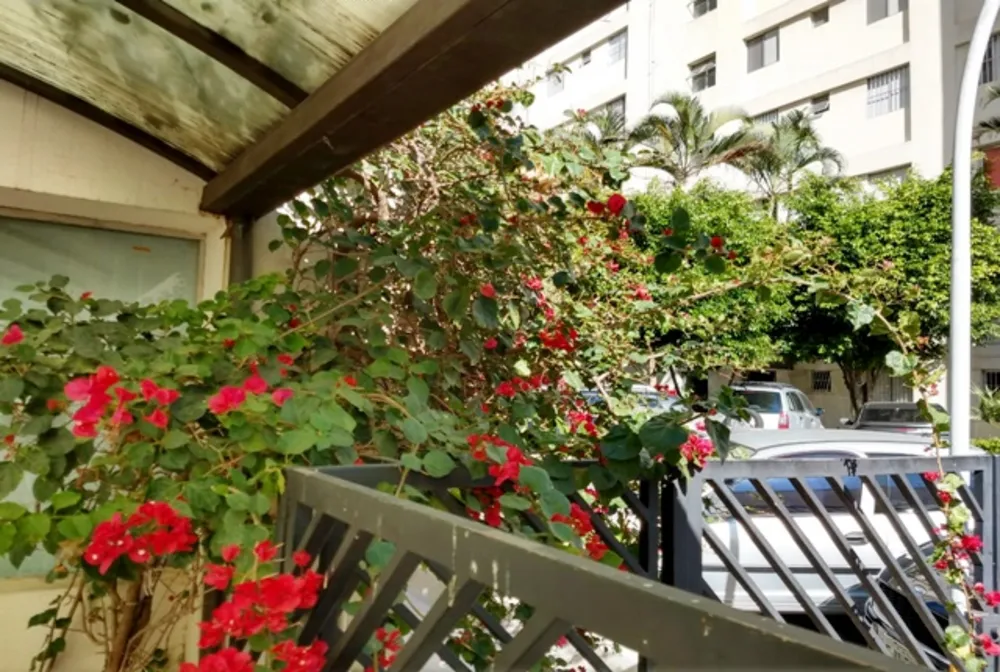 Apartamento, 2 quartos, 50 m² - Foto 2