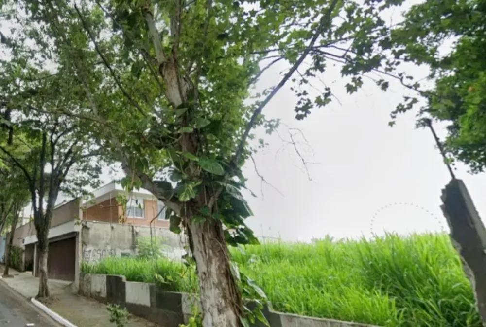 Terreno, 1600 m² - Foto 4
