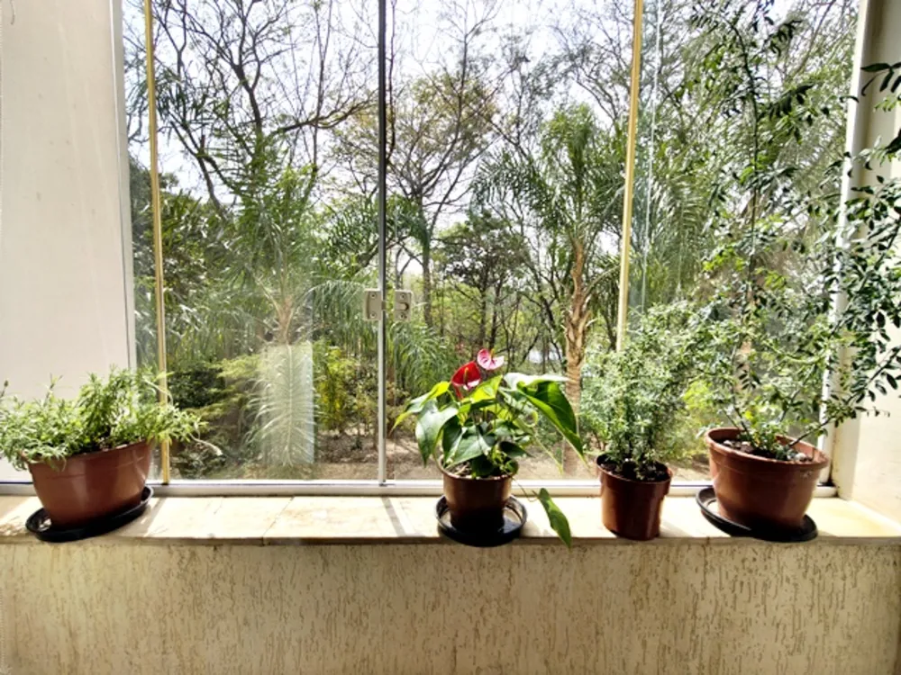 Apartamento, 3 quartos, 54 m² - Foto 6
