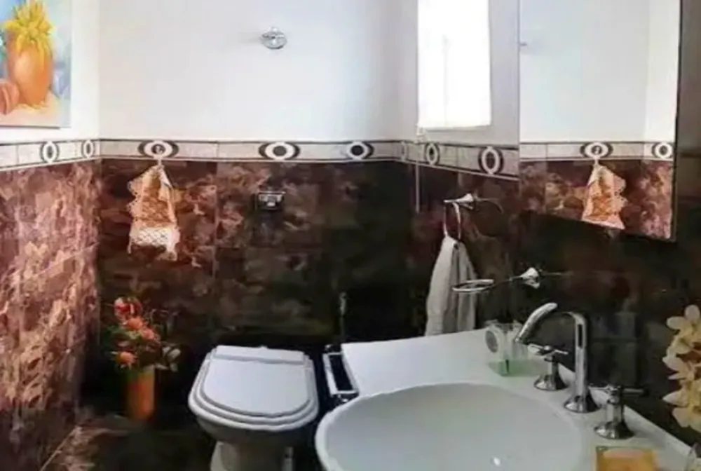 Sobrado, 4 quartos, 500 m² - Foto 3