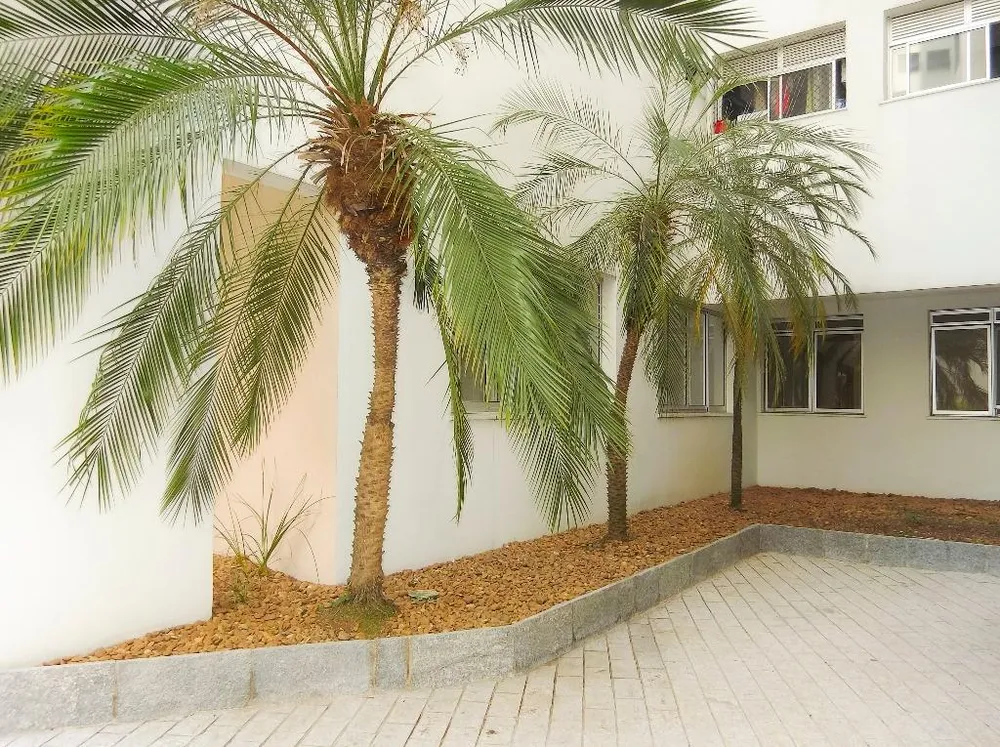 Apartamento, 3 quartos, 245 m² - Foto 3