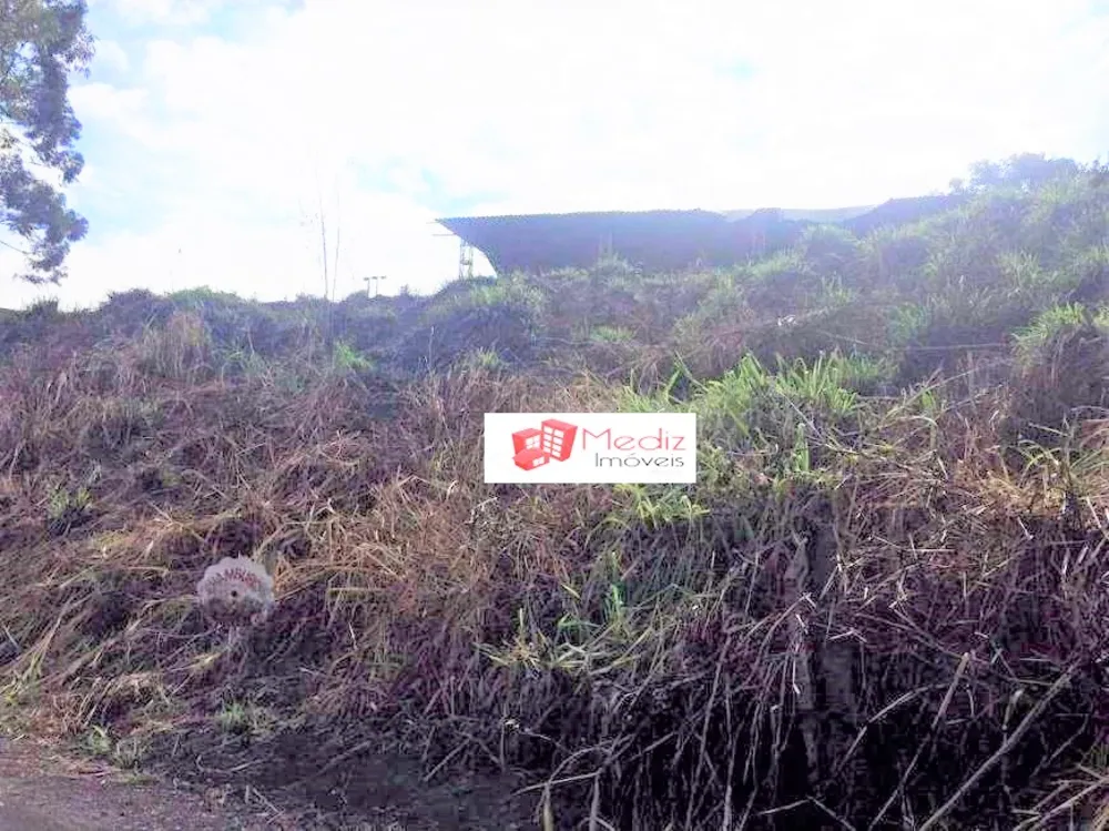 Terreno, 2 hectares - Foto 1
